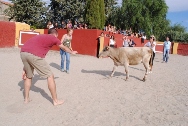 Tentando al animal